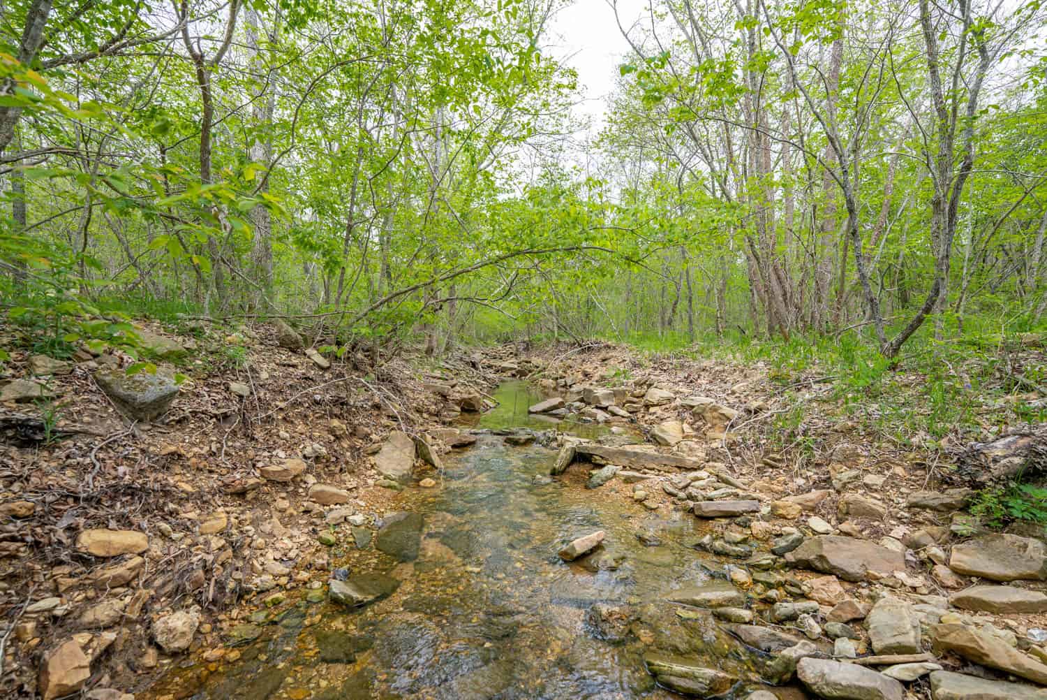 000 Crooked Creek Road, Hartville, MO 65667