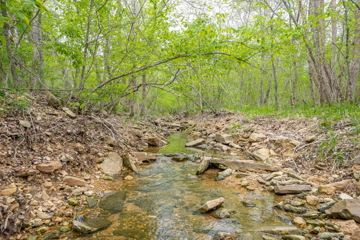 000 Crooked Creek Road, Hartville, MO 65667