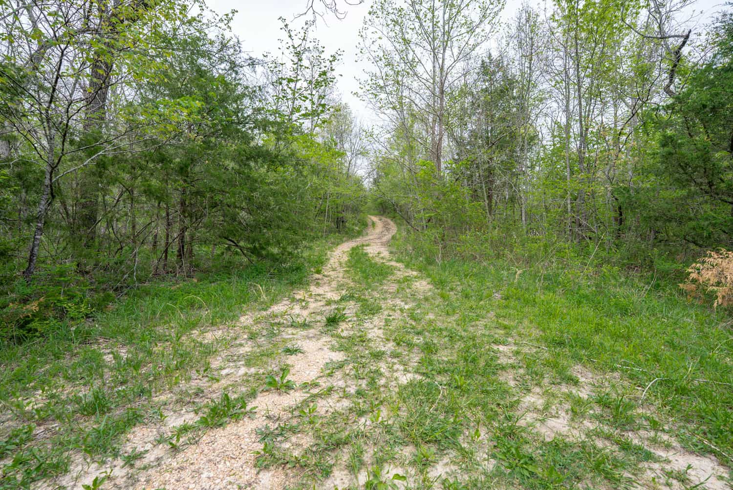 000 Crooked Creek Road, Hartville, MO 65667