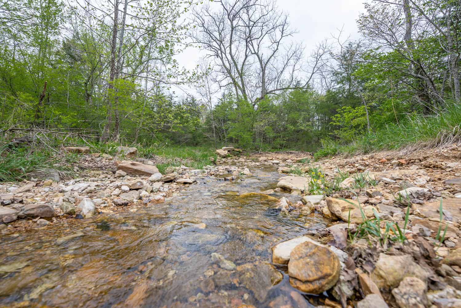 000 Crooked Creek Road, Hartville, MO 65667