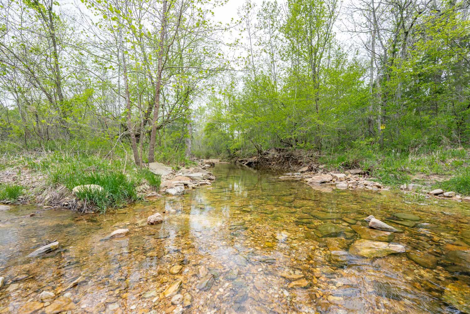 000 Crooked Creek Road, Hartville, MO 65667