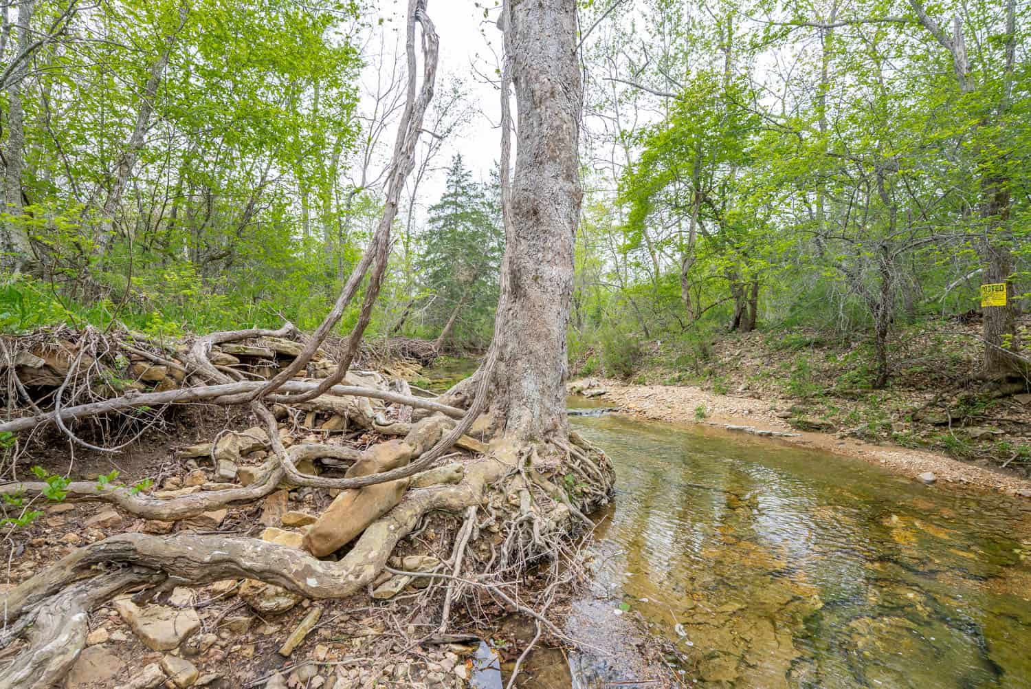 000 Crooked Creek Road, Hartville, MO 65667