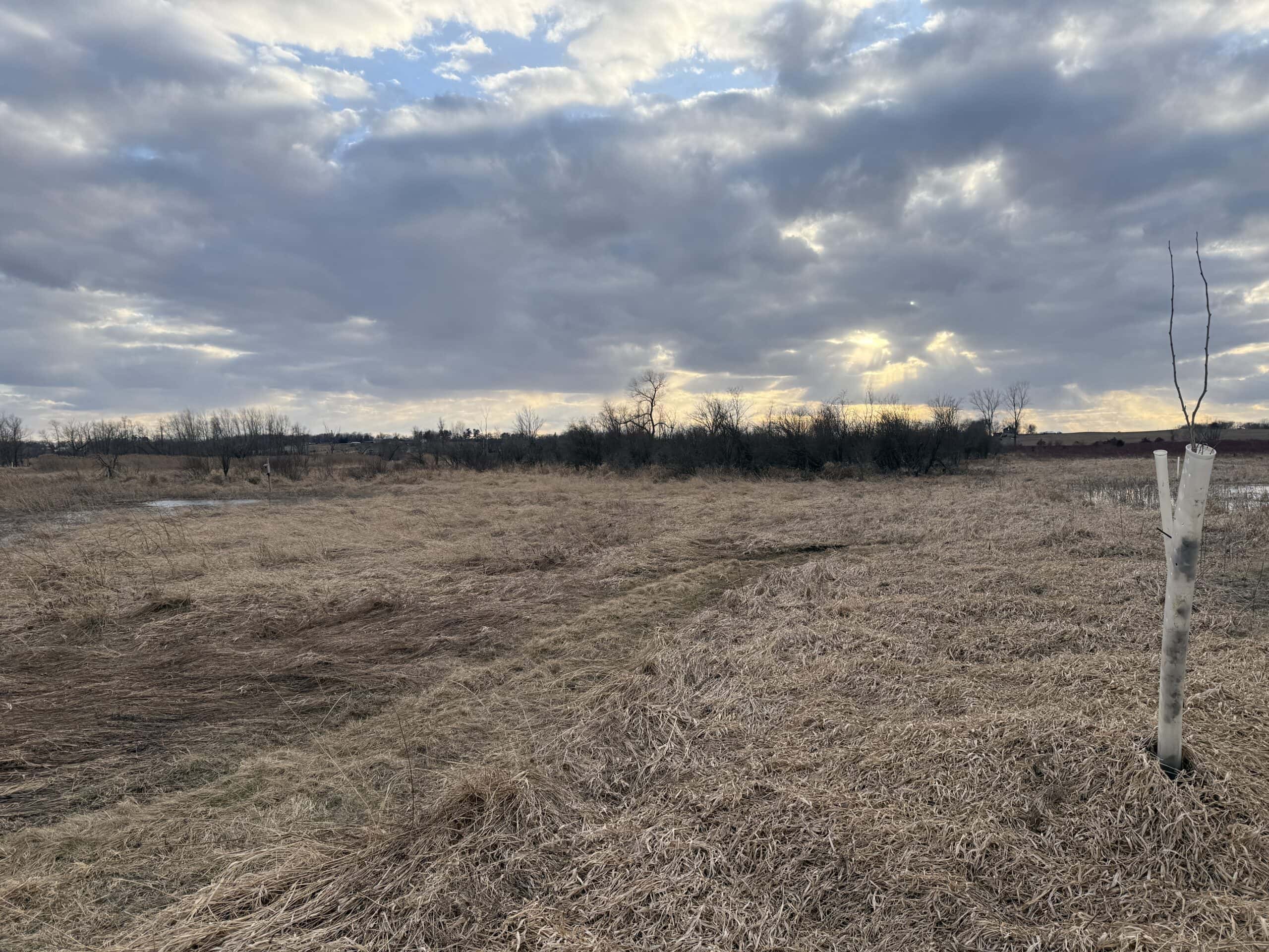 44± Acre Premier Duck and Deer Hunting Property Marquette Cty WI