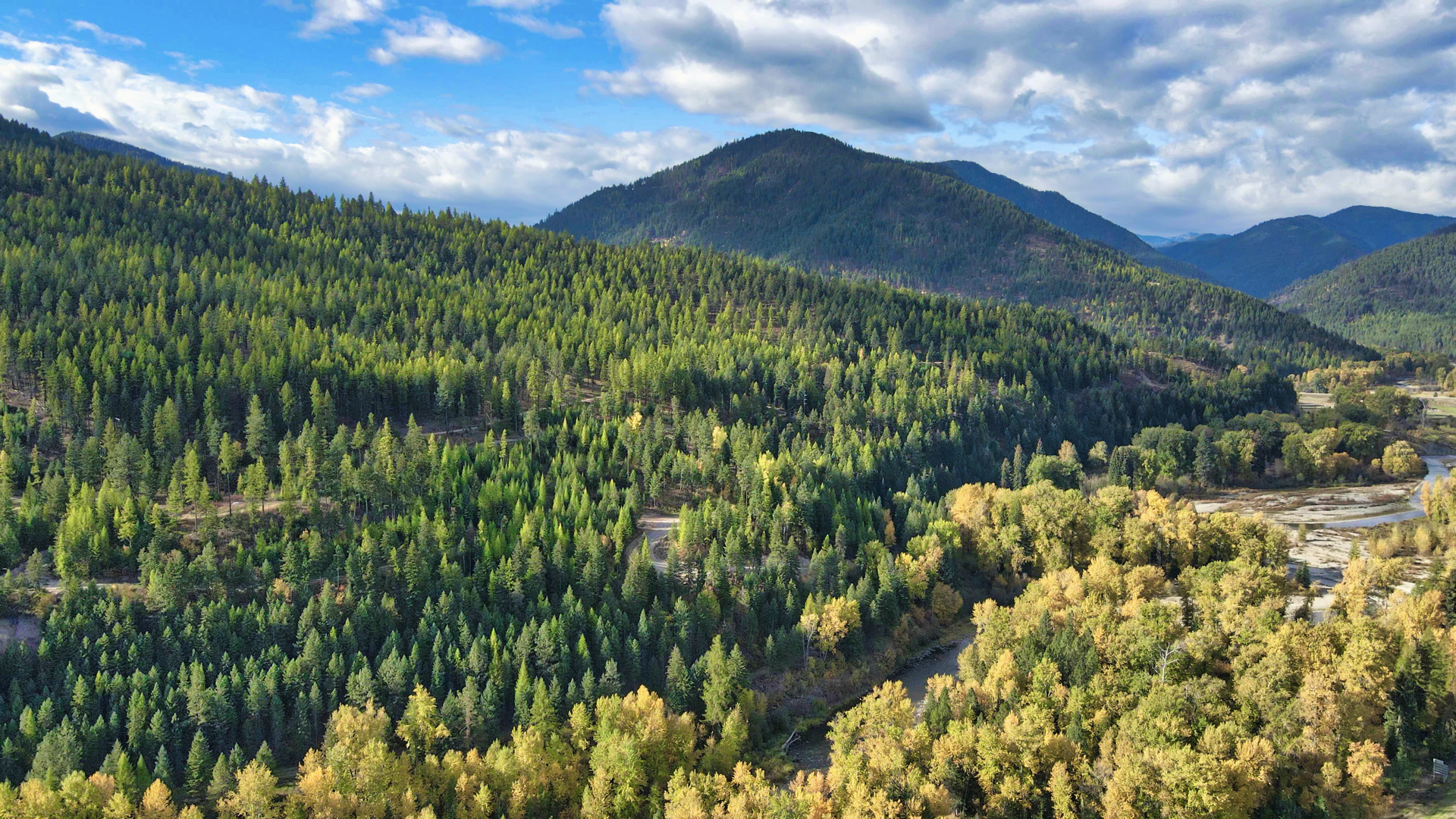 Riverfront Acreage For Sale in St. Regis, Montana