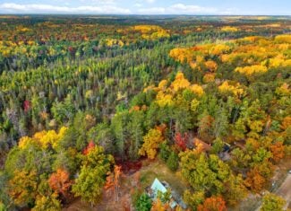 Waterfront A-Frame Cabin in Canada Creek Ranch Atlanta MI
