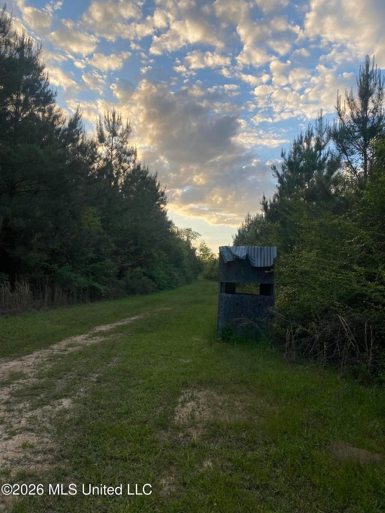 Hunting and Recreational Land for Sale in Amite County, Miss