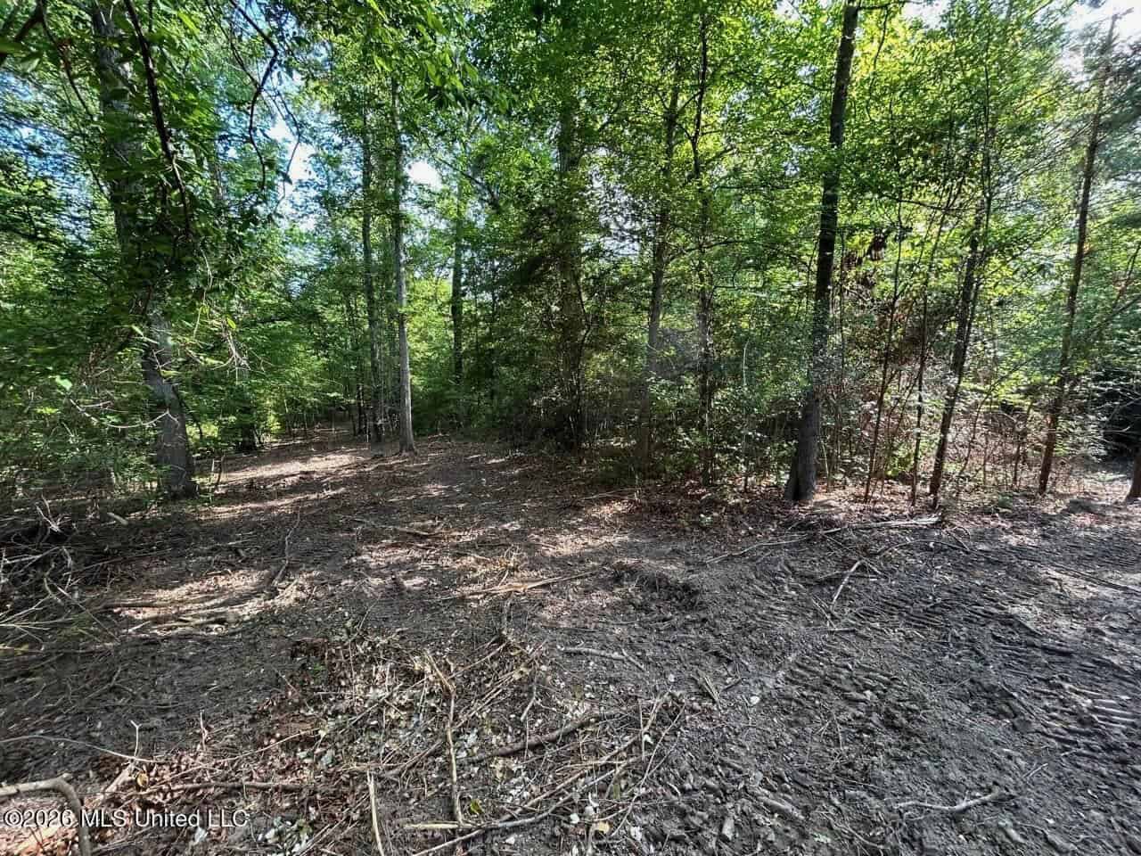 46 Acres in St. Helena Parish, LA Hunting Property for Sale