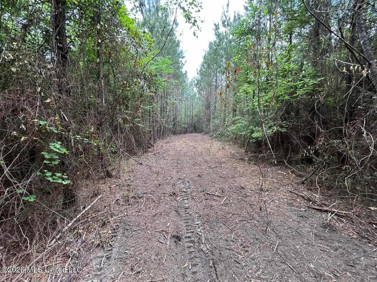 47 Acres in St. Helena Parish, LA with Black Creek