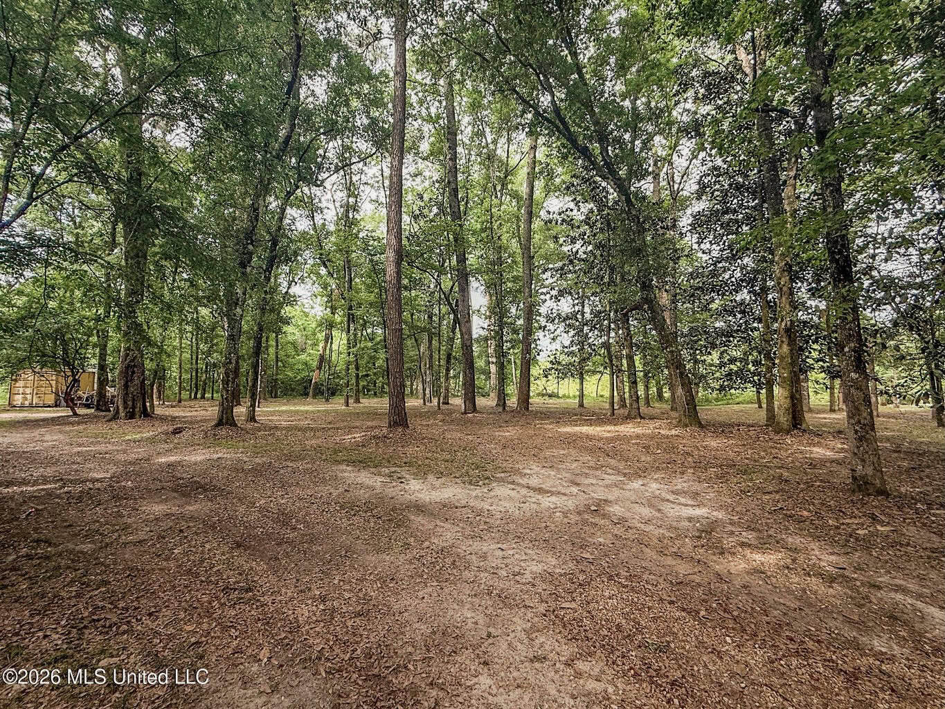 23 Acres of Riverfront Property with Sand Bar and Cabins