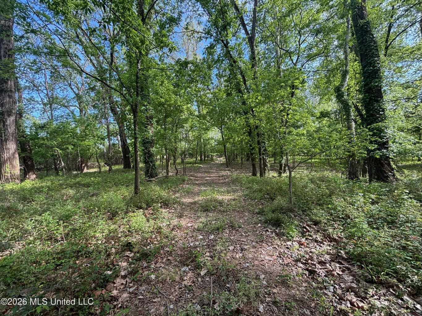 Duckport Legacy Waterfowl and Whitetail Recreational Tract