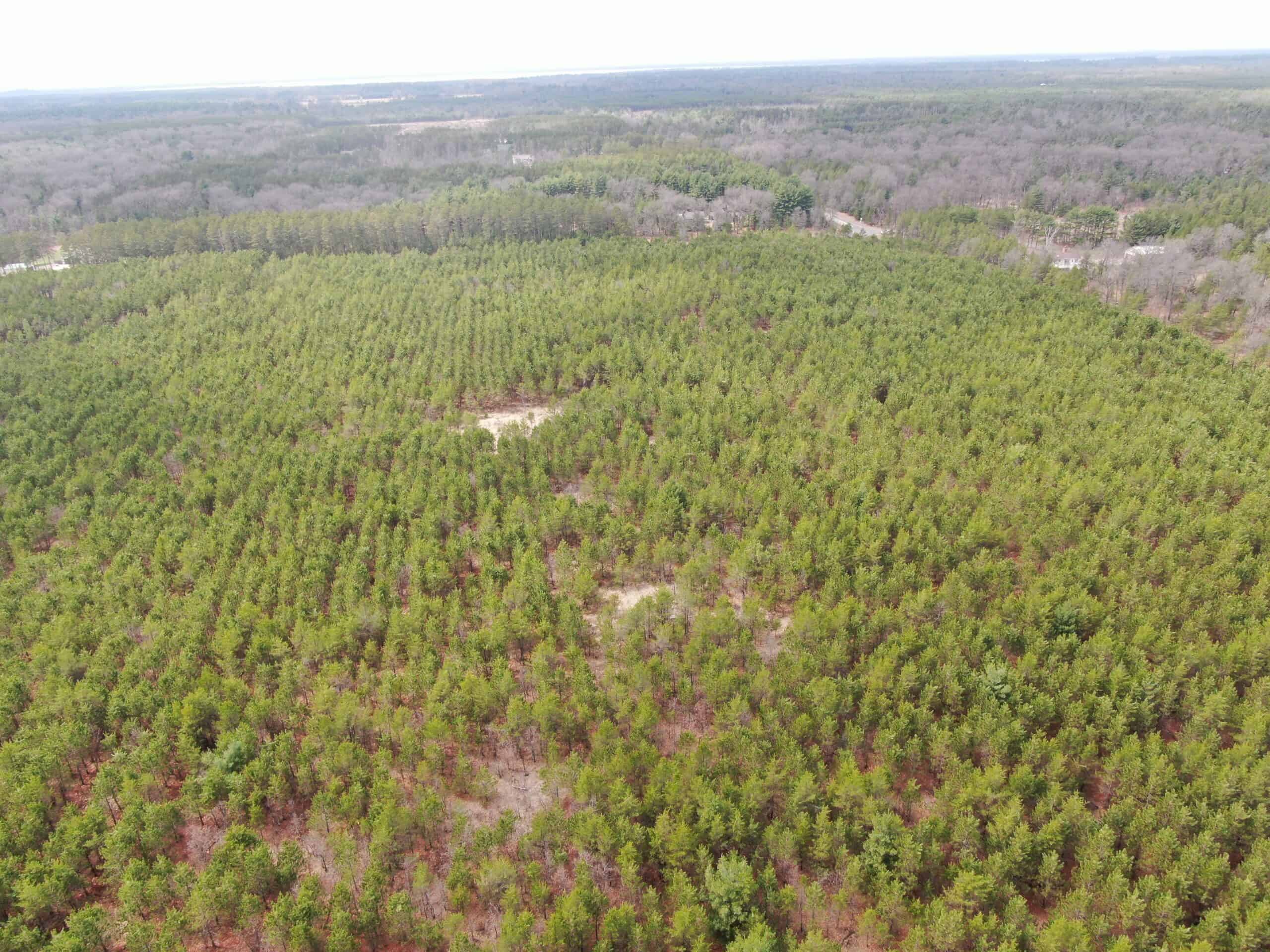 80± acre timber tract in the heart of northern Adams County