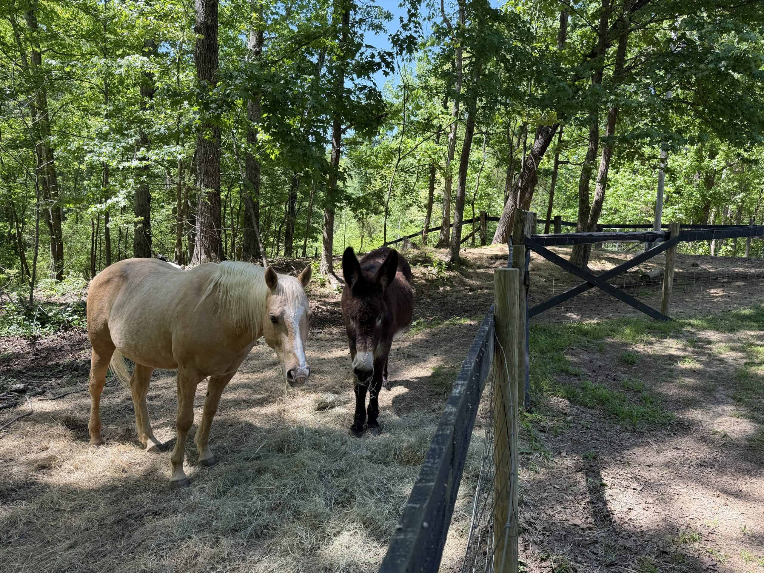 Hobby Farm for sale in TN, 44.81, Mostly Wooded, Creek, Fenced Pastures, Shop, Barn, and Great Deer & Turkey Hunting Land!