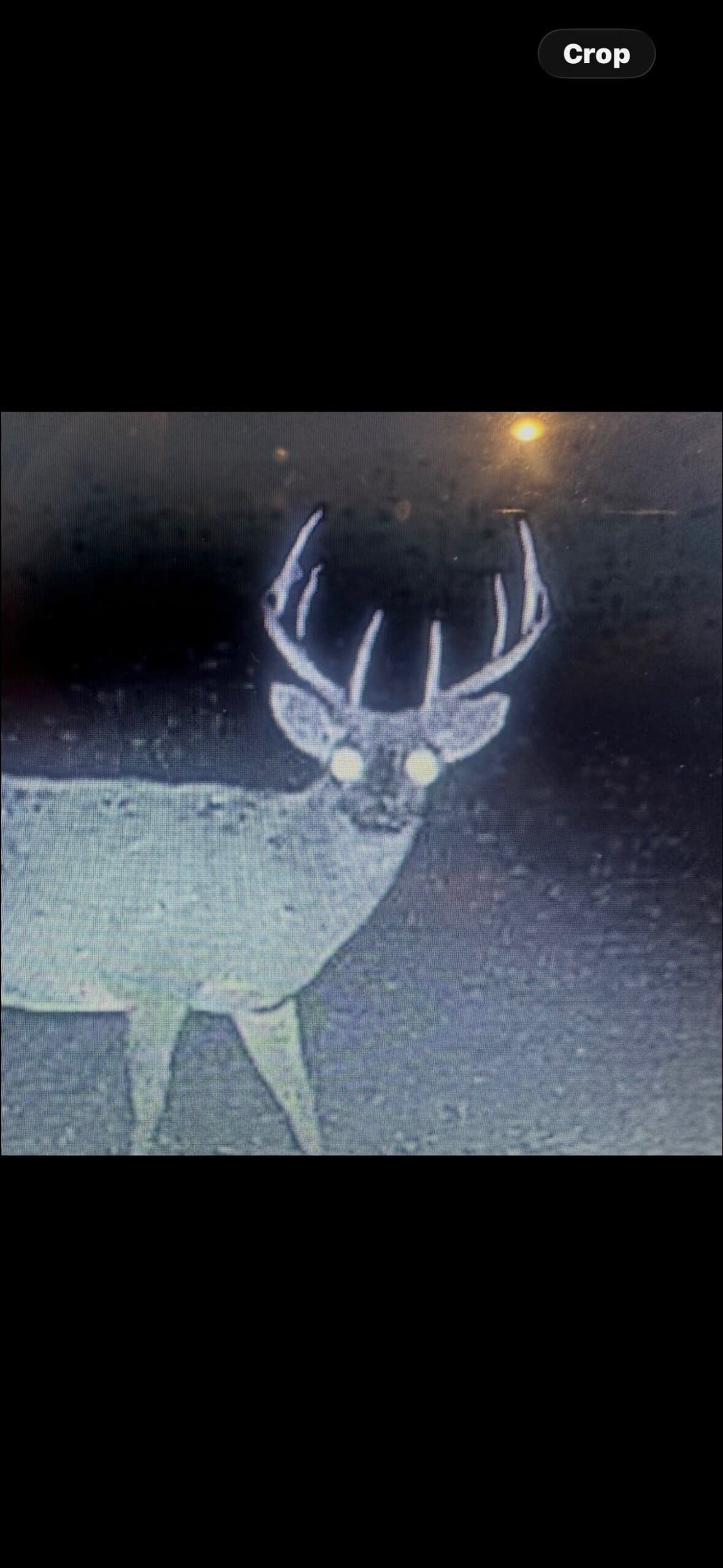 Tensas Parish Duck and Deer Hunting Property