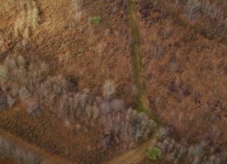 330+/- Acre Deer and Duck Hunting Property with a Camp