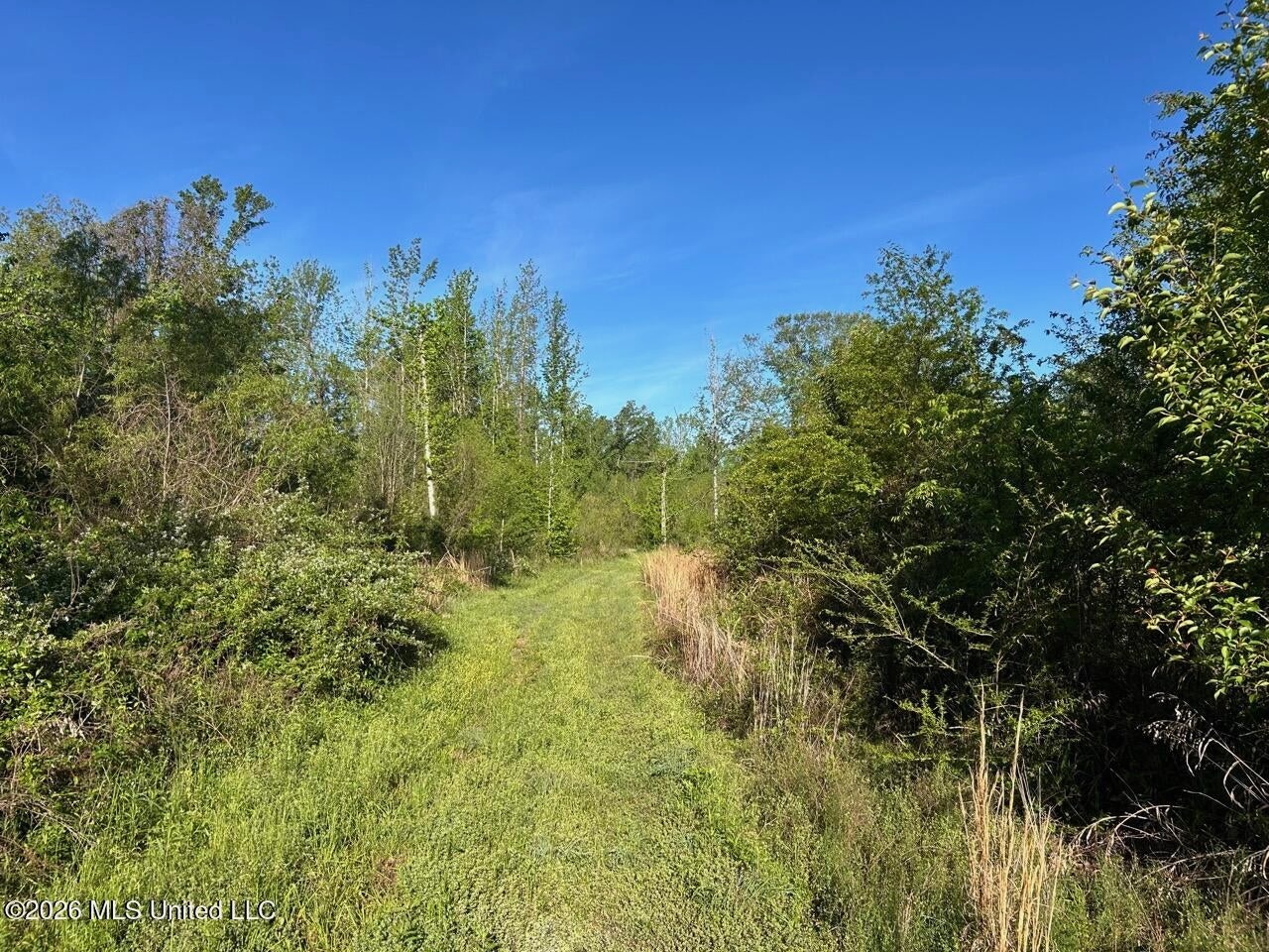 266± Acres Hinds/Copiah Line with Creek and Income