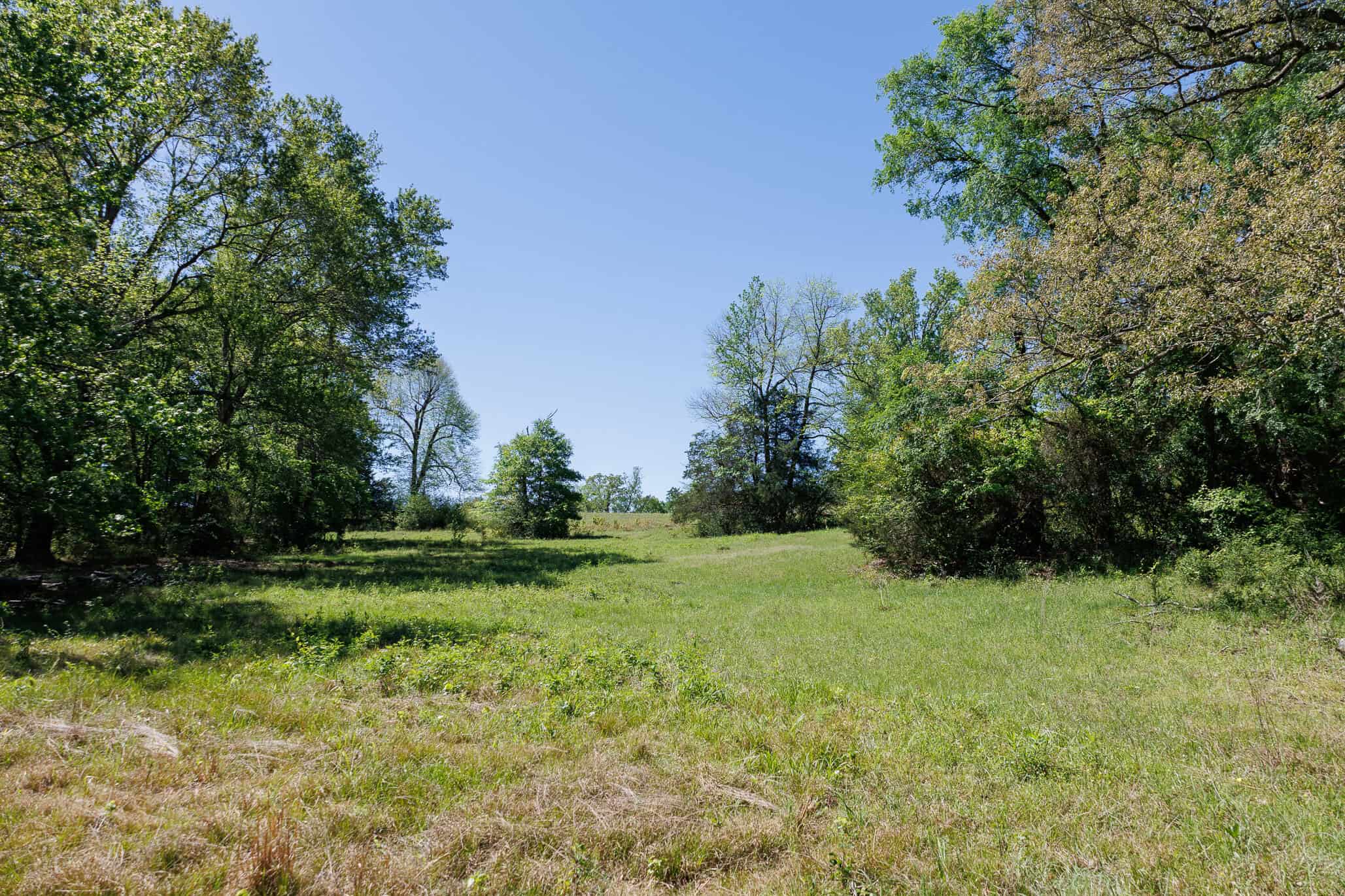 31.74 Acre Recreational Ranch Near Bullard in Smith County TX