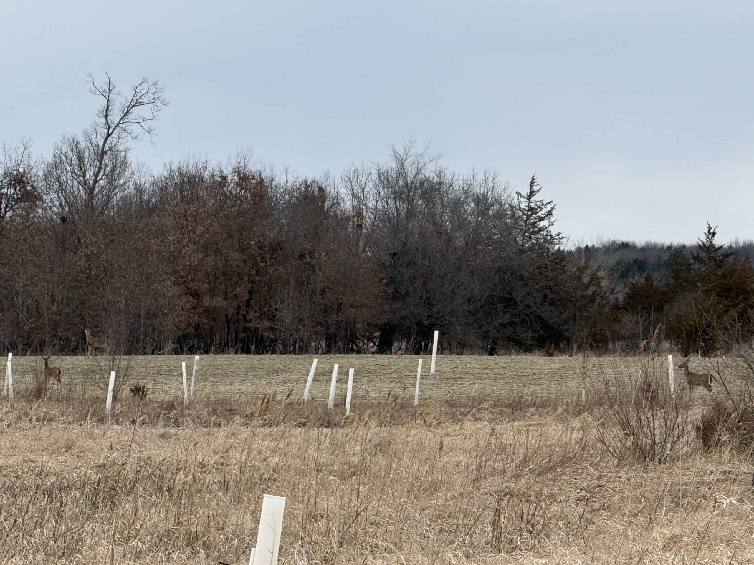 44± Acre Premier Duck and Deer Hunting Property Marquette Cty WI