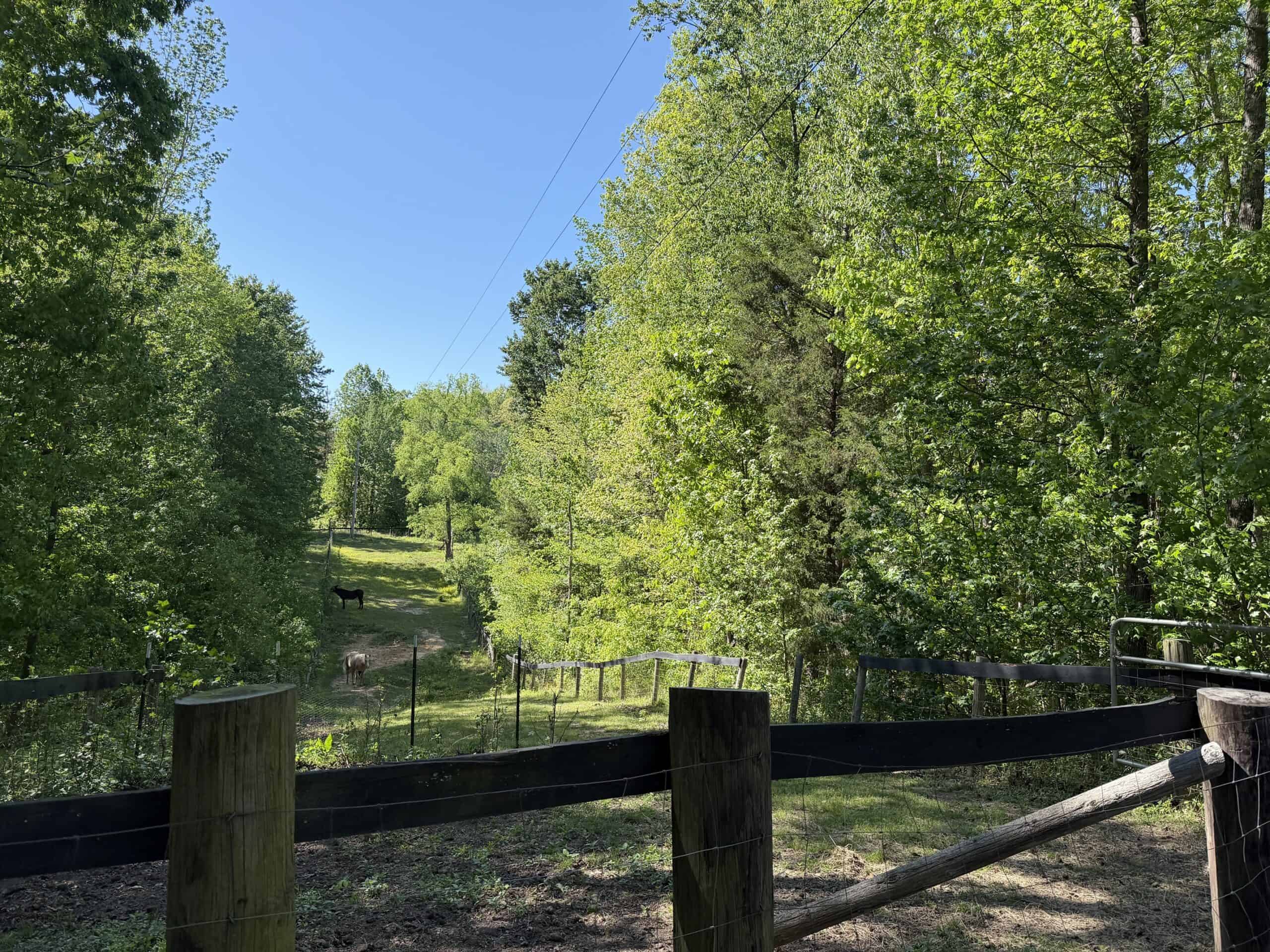 Hobby Farm for sale in TN, 44.81, Mostly Wooded, Creek, Fenced Pastures, Shop, Barn, and Great Deer & Turkey Hunting Land!