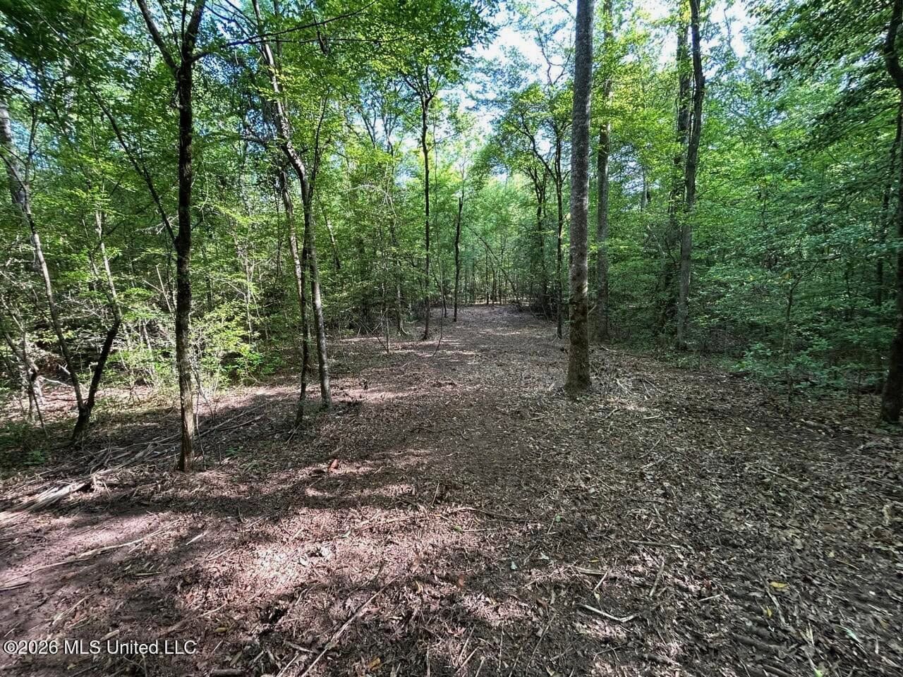 46 Acres in St. Helena Parish, LA Hunting Property for Sale