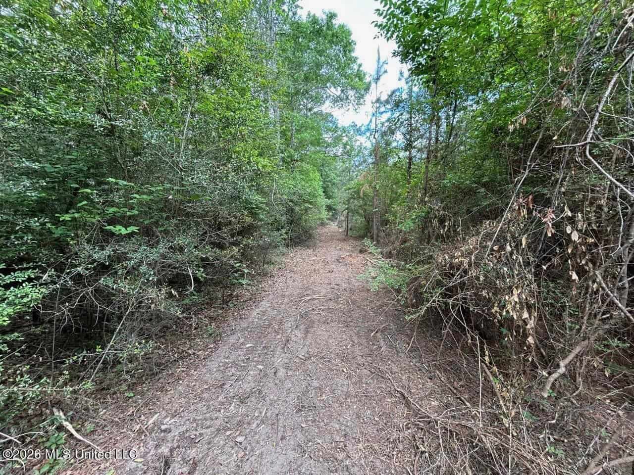 47 Acres in St. Helena Parish, LA with Black Creek