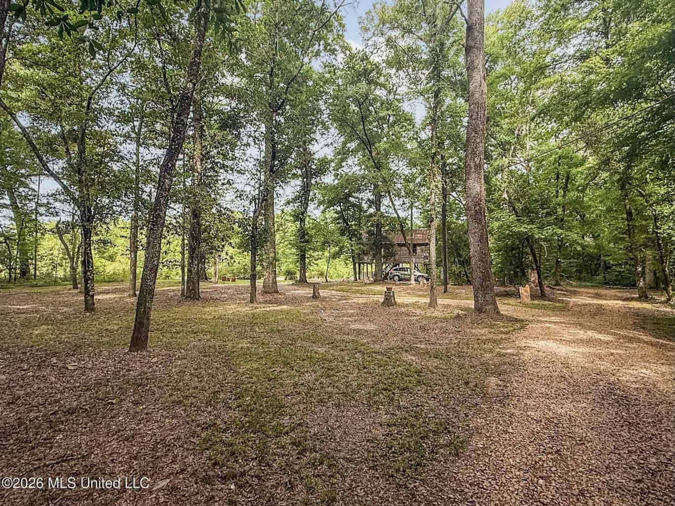 23 Acres of Riverfront Property with Sand Bar and Cabins