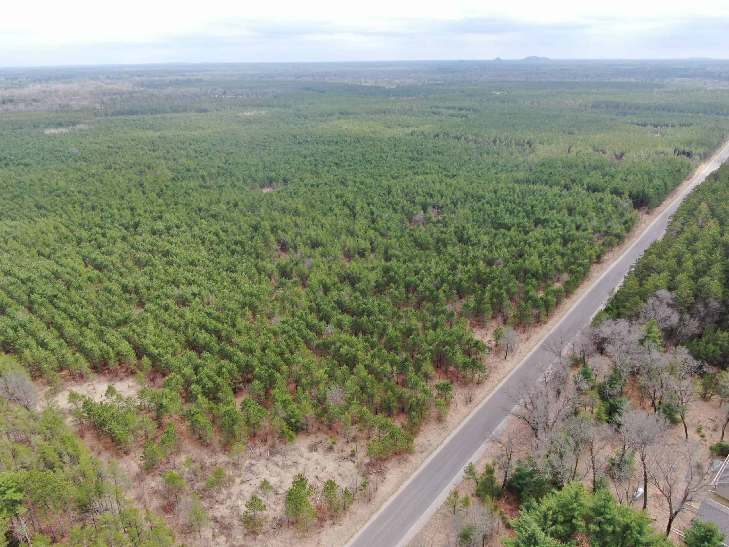 80± acre timber tract in the heart of northern Adams County