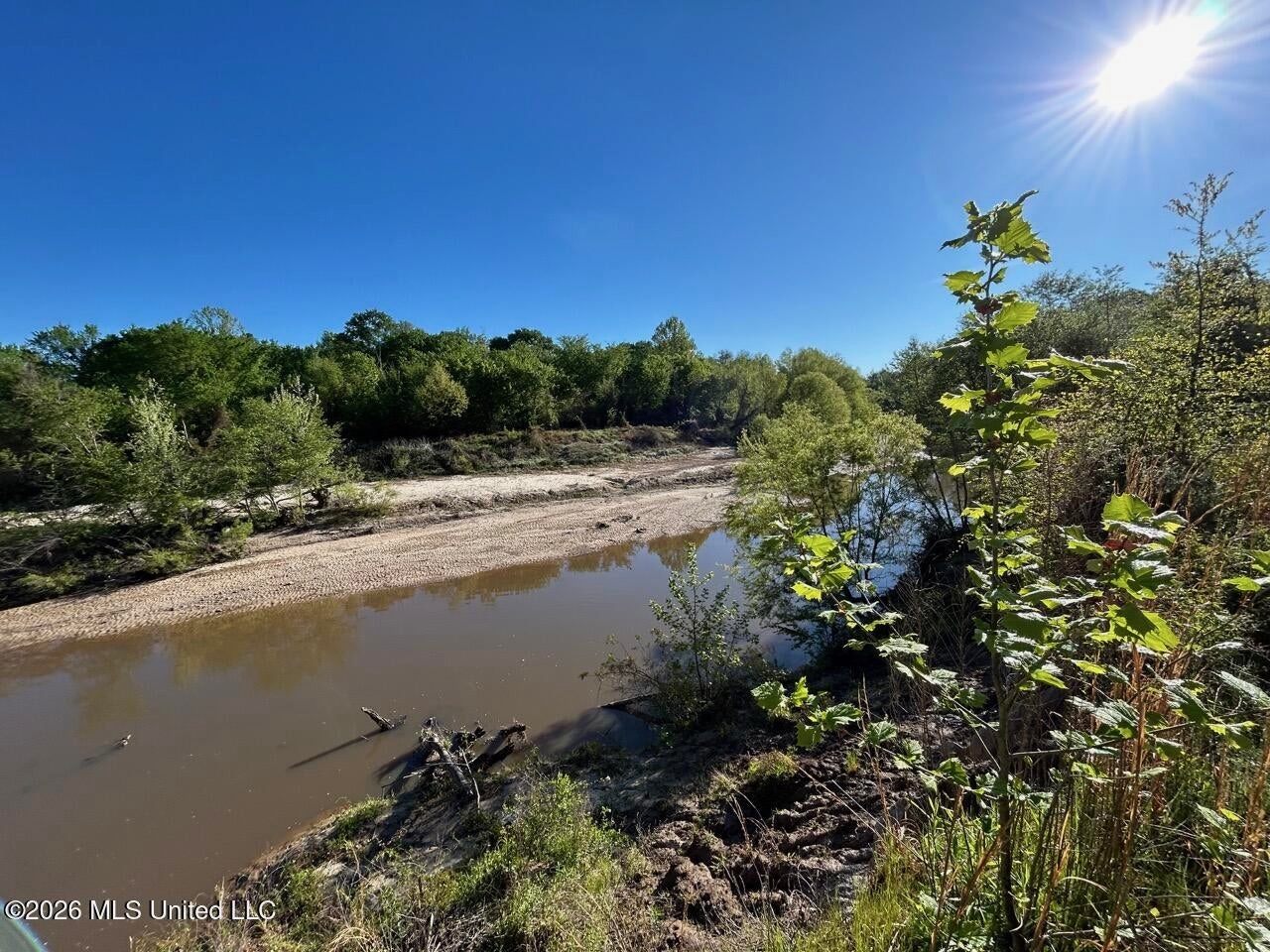 266± Acres Hinds/Copiah Line with Creek and Income