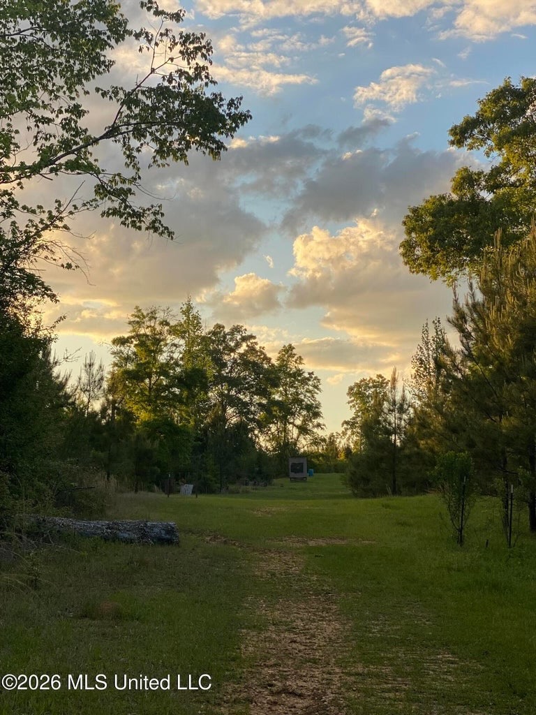 Hunting and Recreational Land for Sale in Amite County, Miss