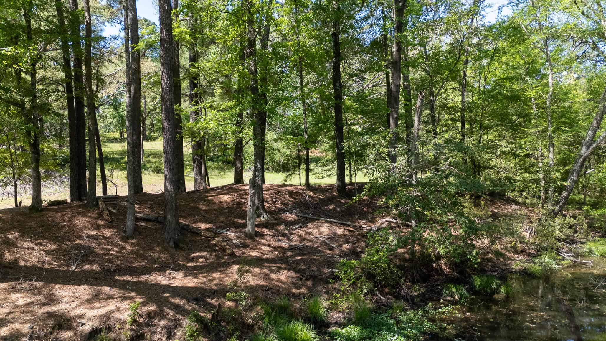 31.74 Acre Recreational Ranch Near Bullard in Smith County TX