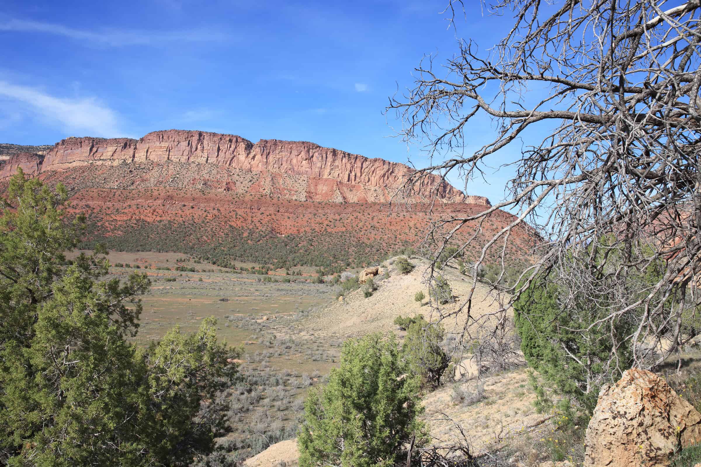 Acreage for Sale Gateway, Colorado