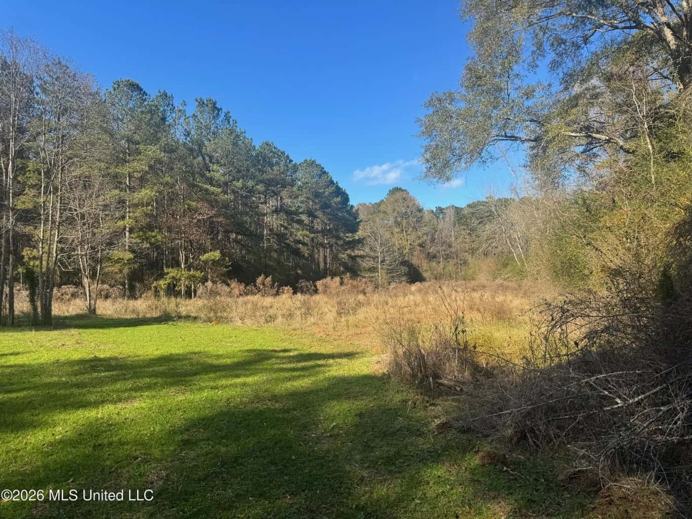 South Mississippi Hunting Land for Sale in Walthall County