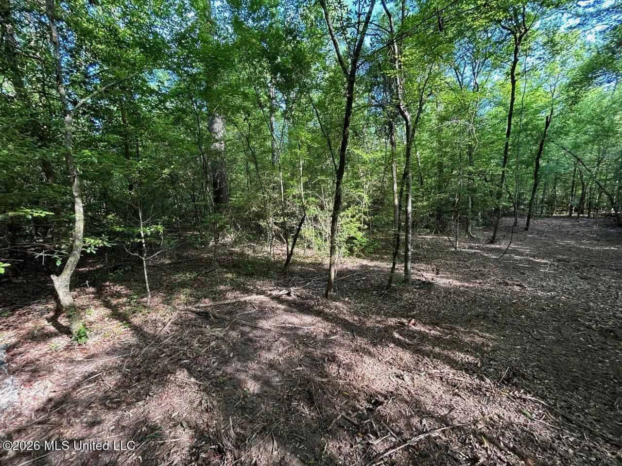 46 Acres in St. Helena Parish, LA Hunting Property for Sale