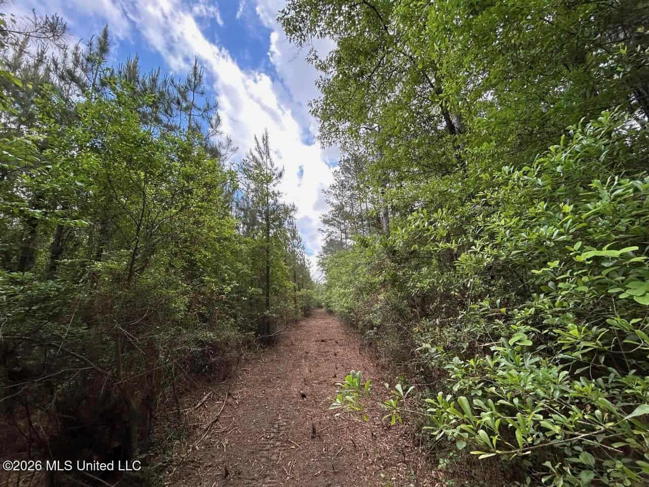 47 Acres in St. Helena Parish, LA with Black Creek