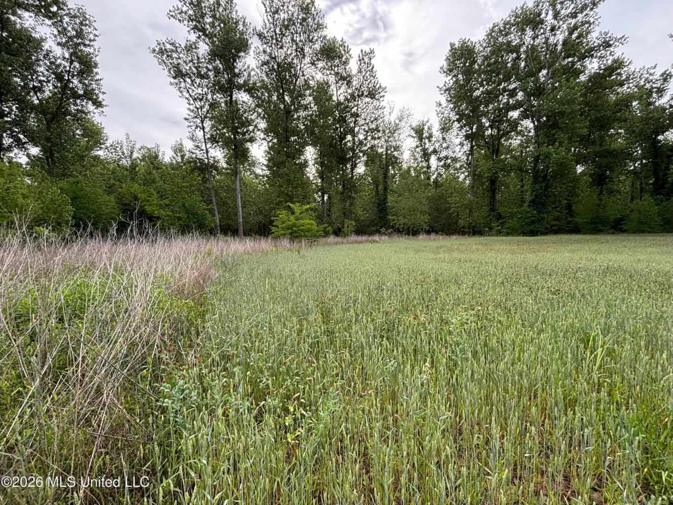 Duckport Legacy Waterfowl and Whitetail Recreational Tract