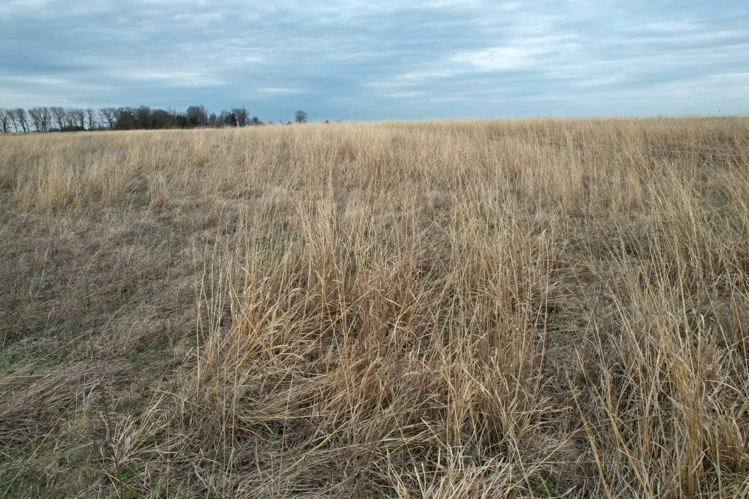 Southwest Iowa Recreational CRP Farm