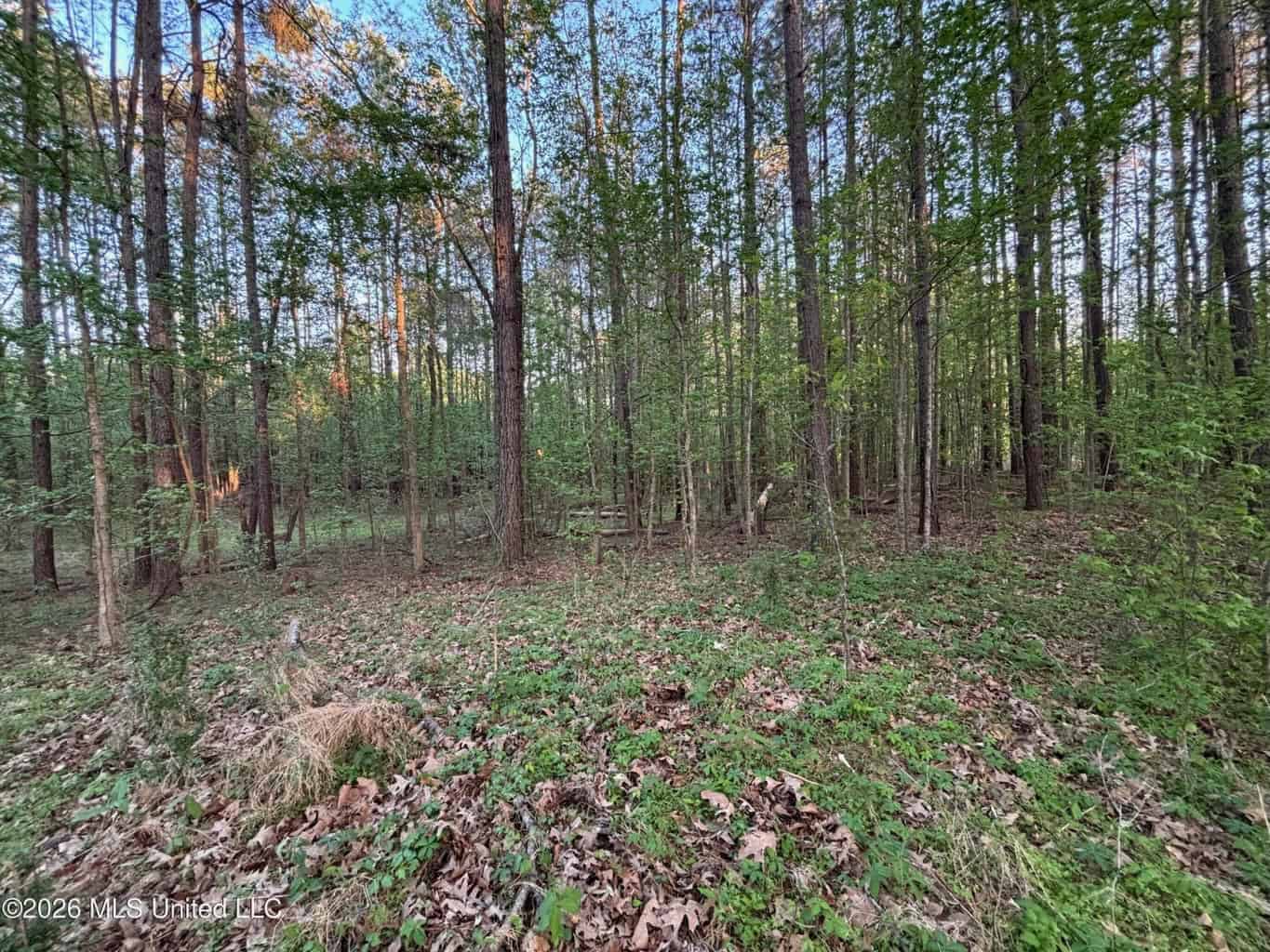 77 Acres in Edwards, MS Hinds County Big Black River Region