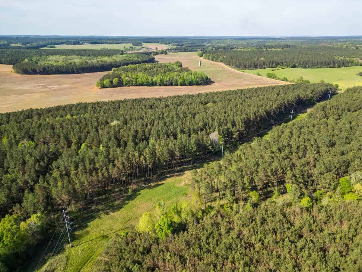 455 Acres Hunting & Income Land in Choctaw County MS