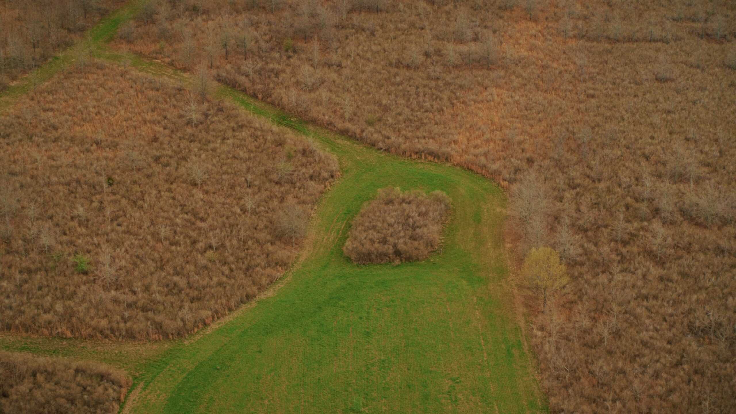 1,196+/- Acre Deer & Duck Hunting Paradise Tensas Parish, LA