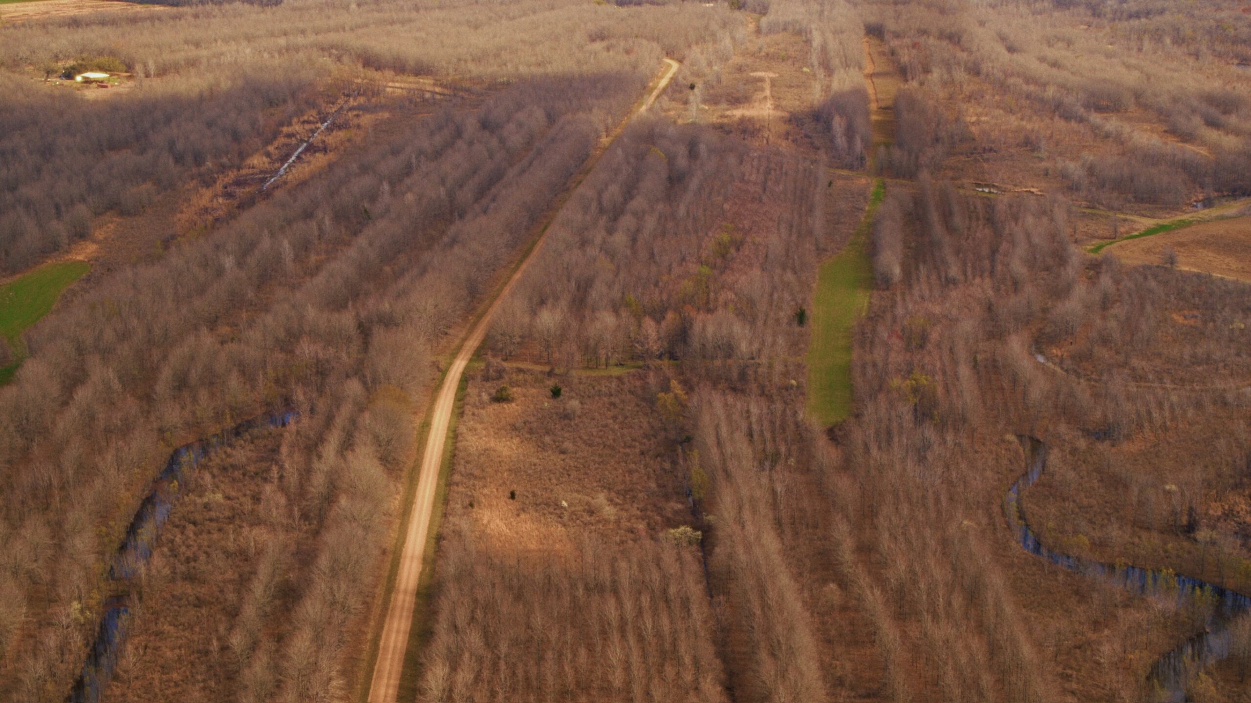 330+/- Acre Deer and Duck Hunting Property with a Camp