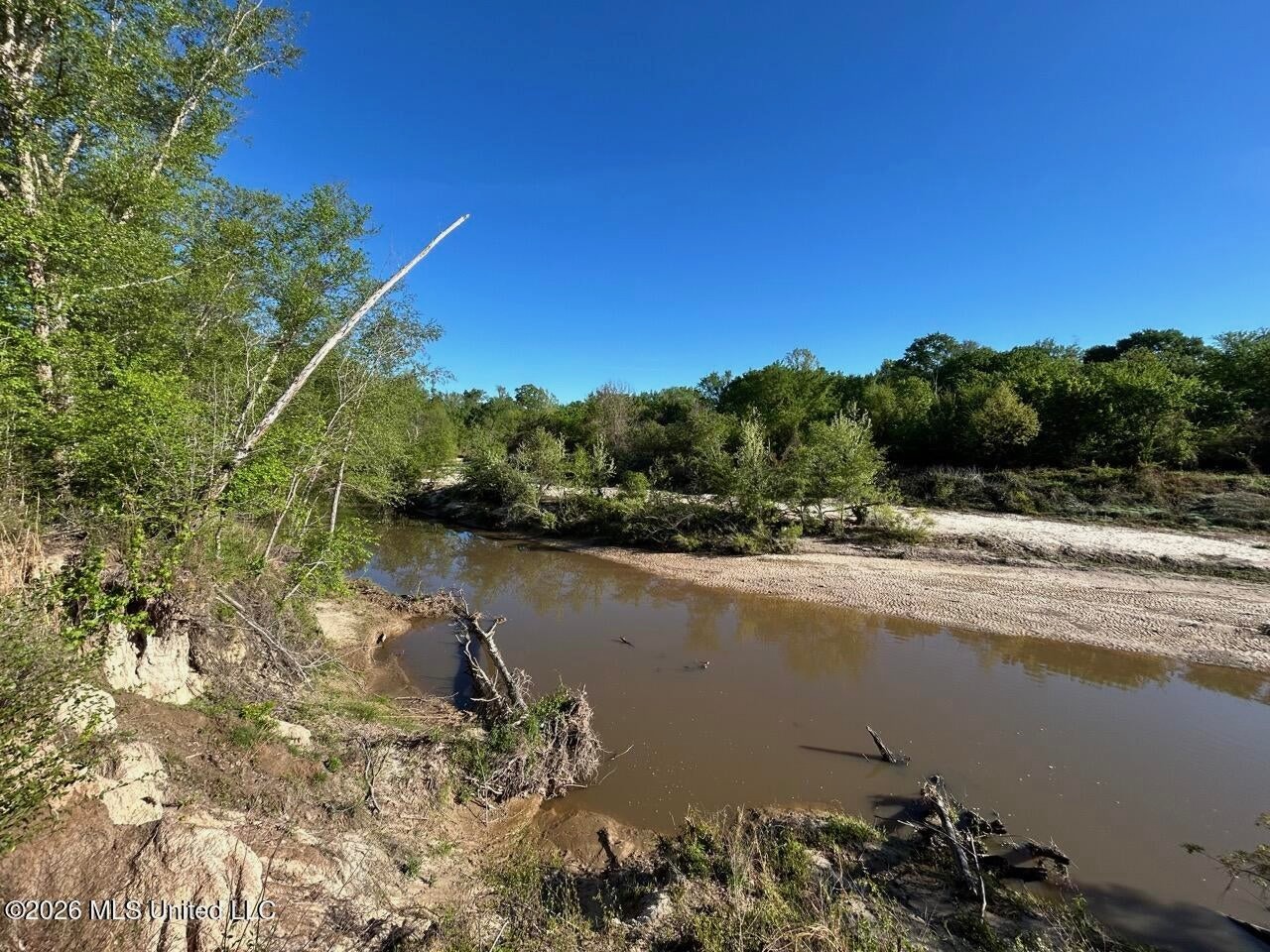 266± Acres Hinds/Copiah Line with Creek and Income