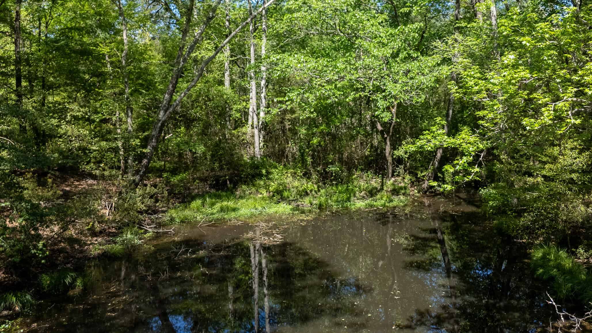 31.74 Acre Recreational Ranch Near Bullard in Smith County TX
