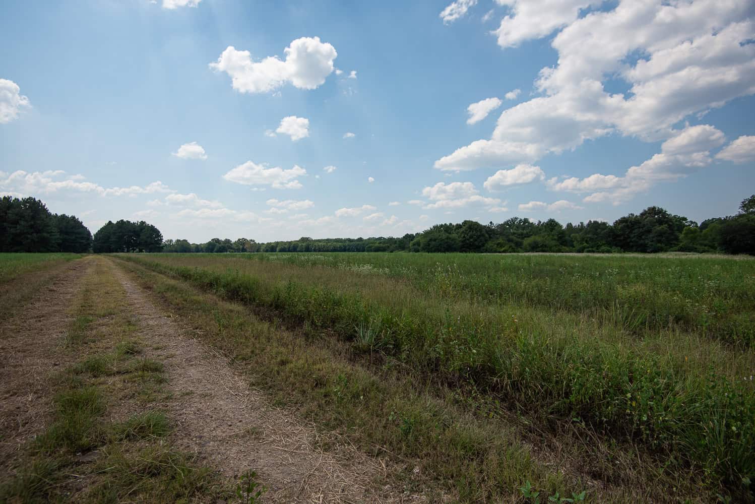 863-Acre Hunting Ranch on the Sabine River near Big Sandy TX