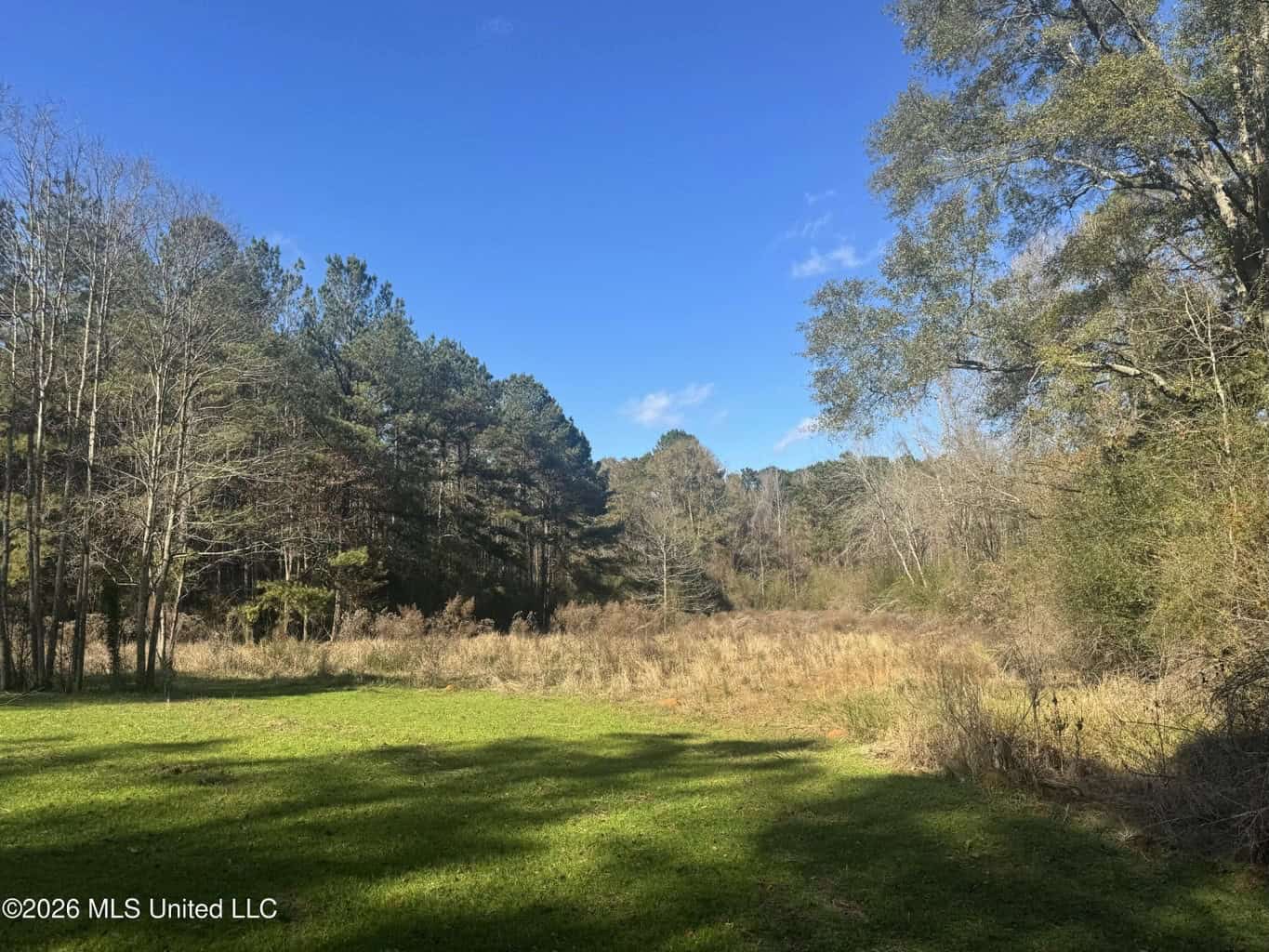 South Mississippi Hunting Land for Sale in Walthall County