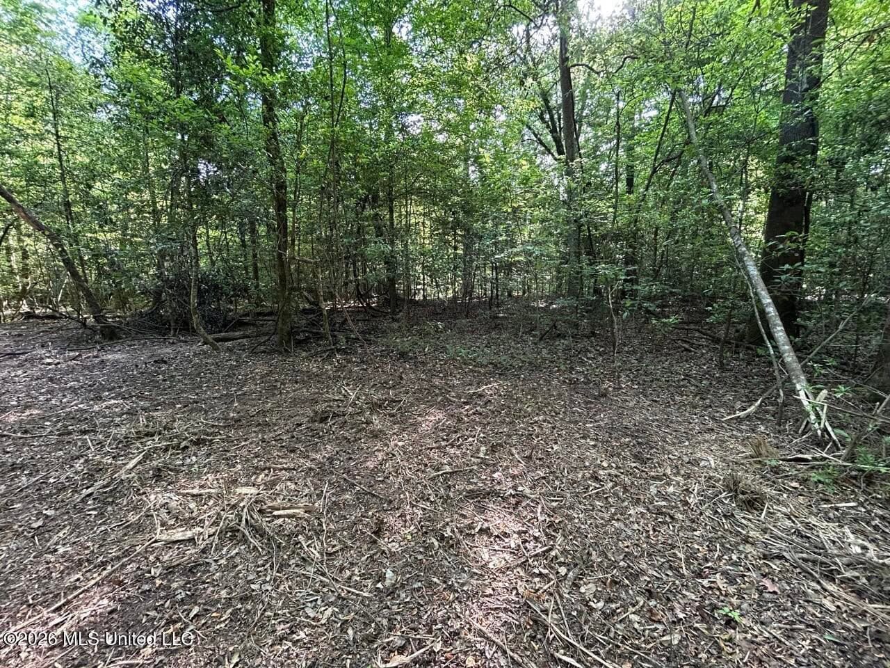 46 Acres in St. Helena Parish, LA Hunting Property for Sale