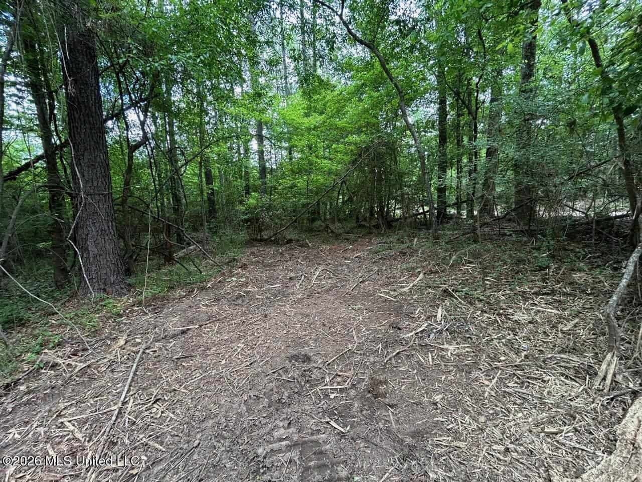 47 Acres in St. Helena Parish, LA with Black Creek