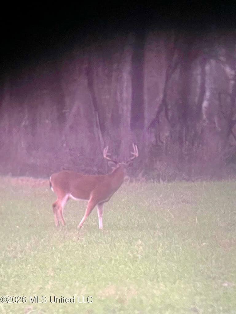 Duckport Legacy Waterfowl and Whitetail Recreational Tract