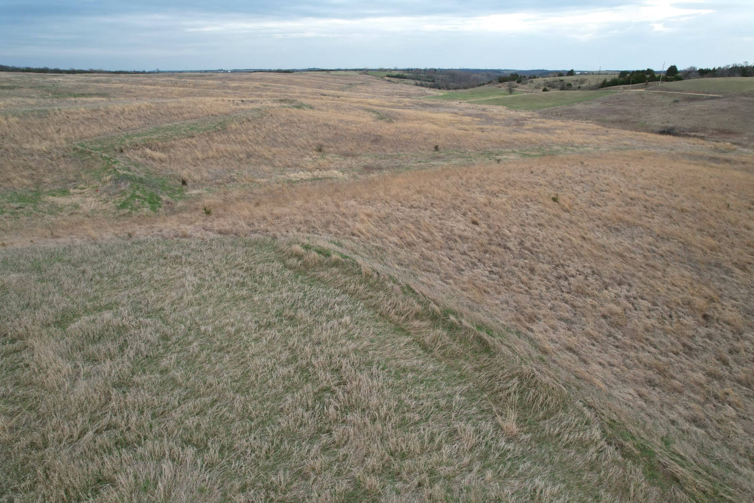 Southwest Iowa Recreational CRP Farm