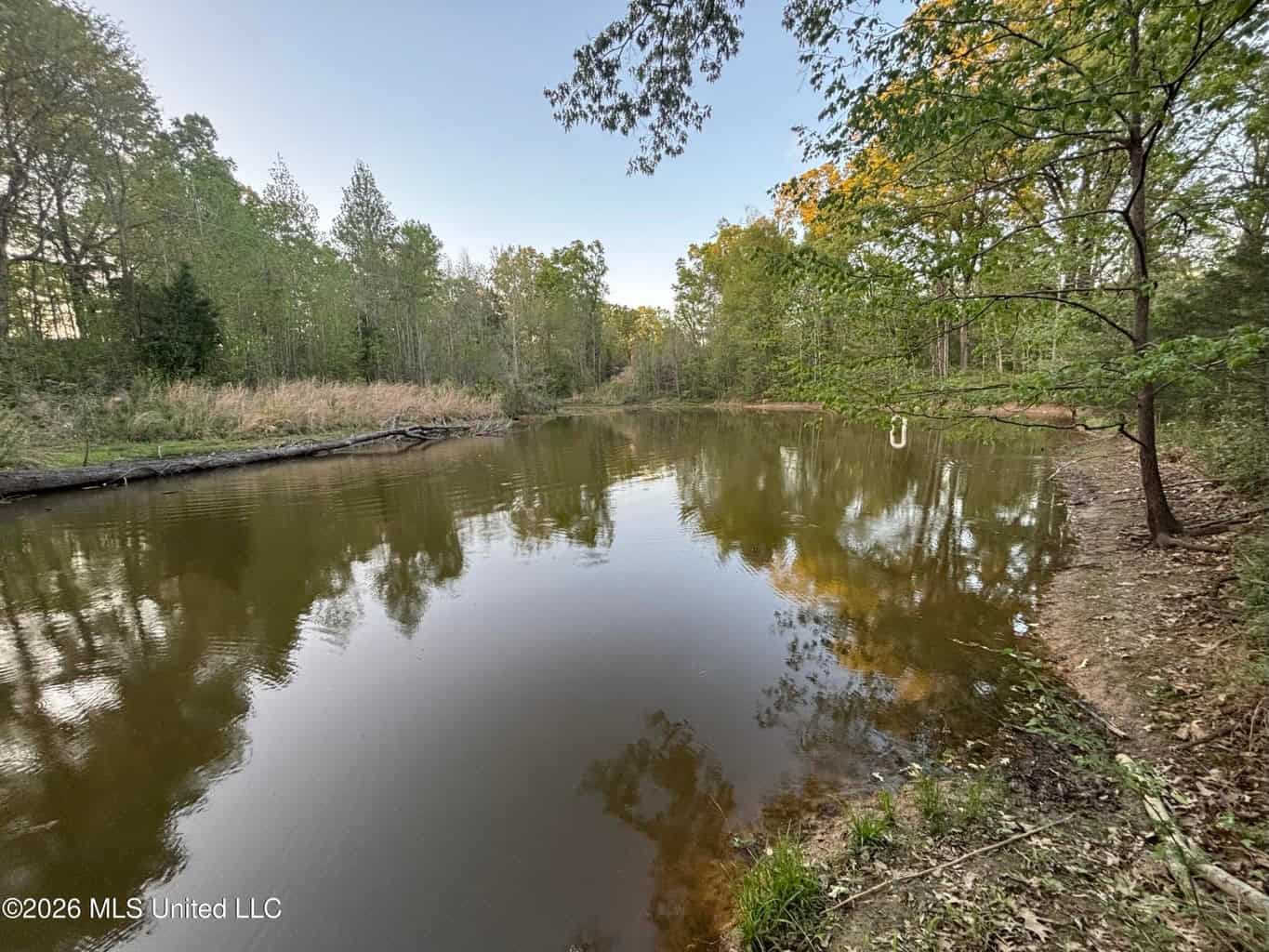 77 Acres in Edwards, MS Hinds County Big Black River Region