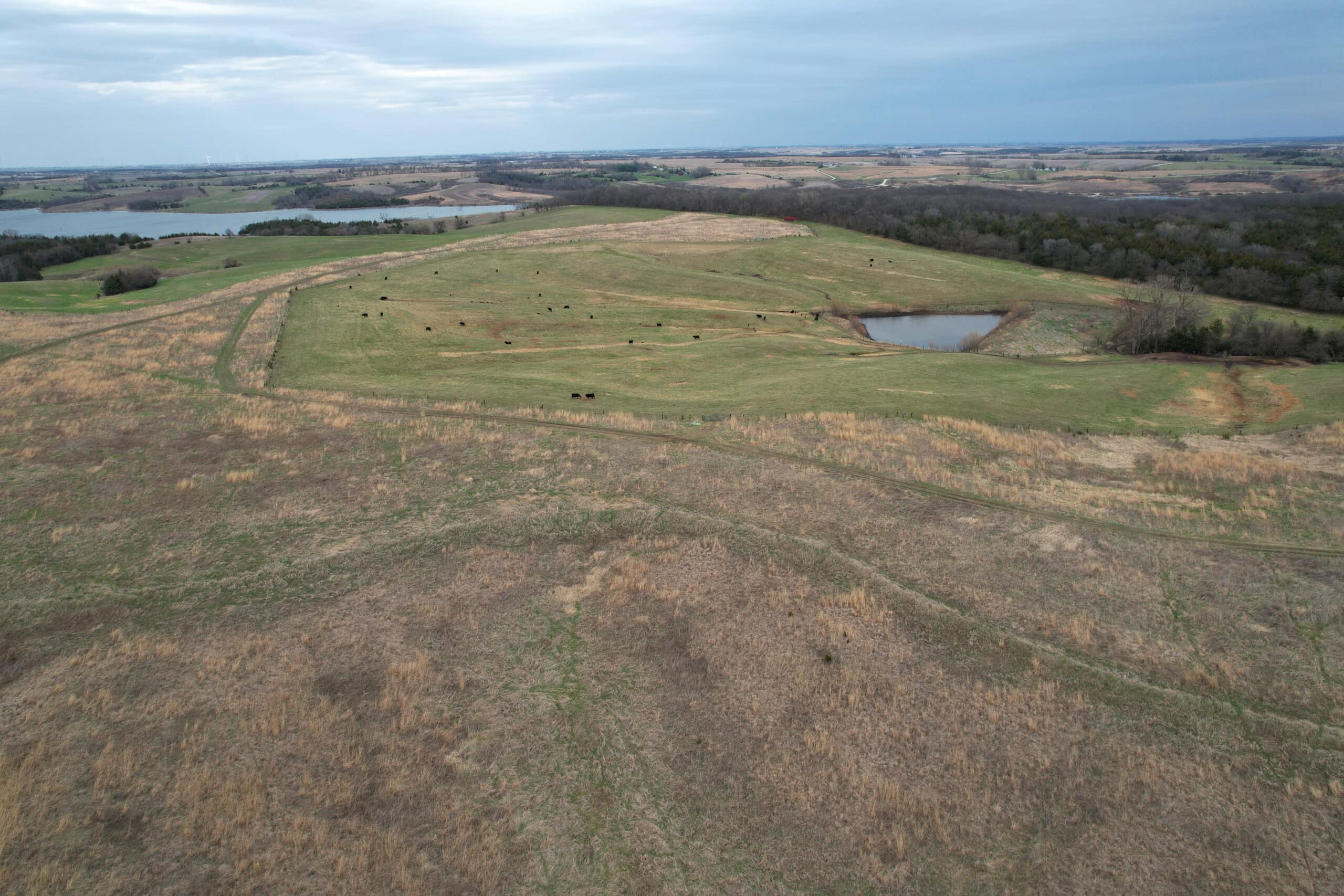 Southwest Iowa Income Producing Combination Farm