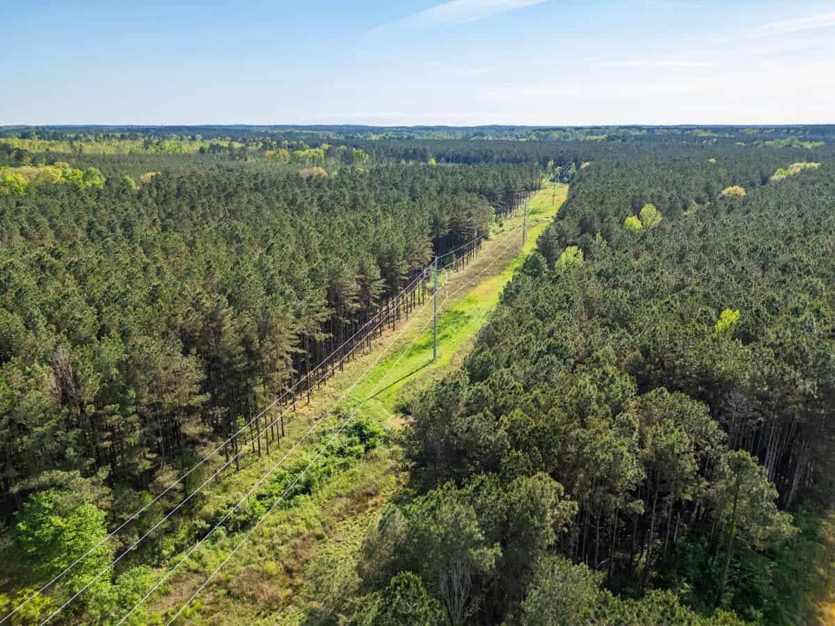 455 Acres Hunting & Income Land in Choctaw County MS